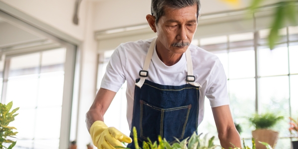 Older man works in a greenhouse wearing an apron and tending plants