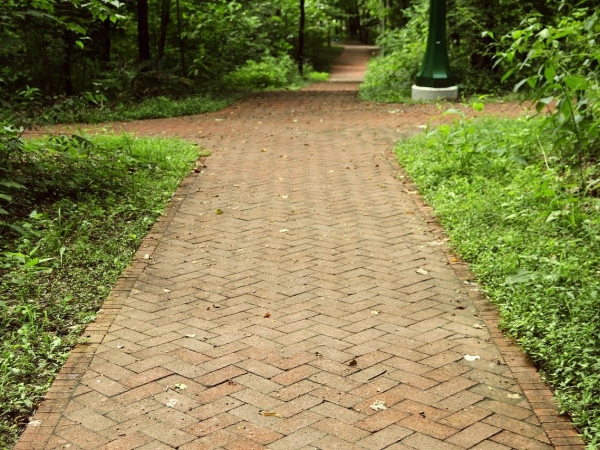 Brick path on a college campus
